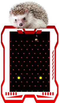 Play the Hog Drop game for FREE, Click HERE